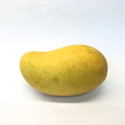 Ataulfo Mango Trio