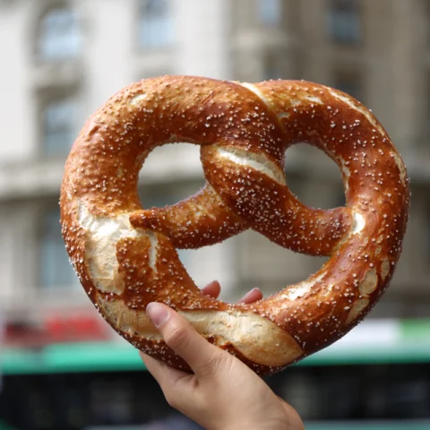 Bavarian Soft Pretzel Kit