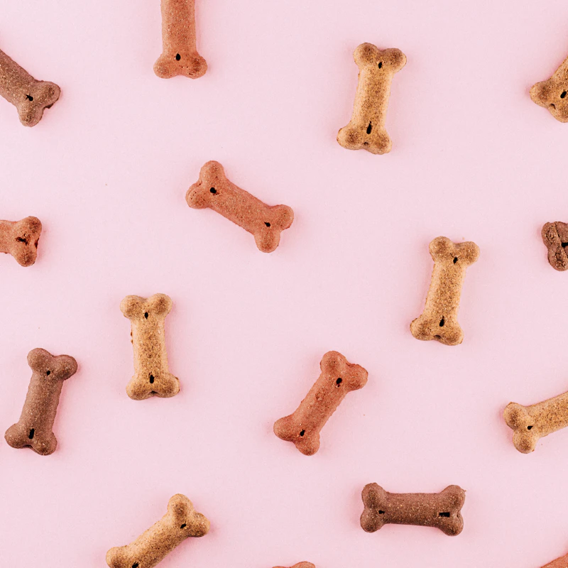 Durable Rubber Chew Bone — Front view