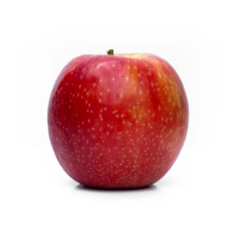 Gala Apple Snack Pack 6-Count