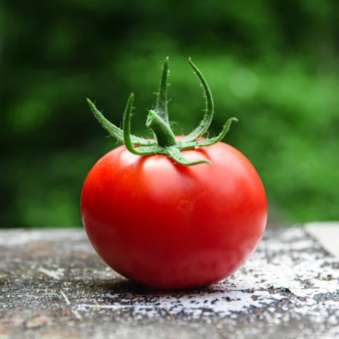 Heirloom Cherry Tomato Medley