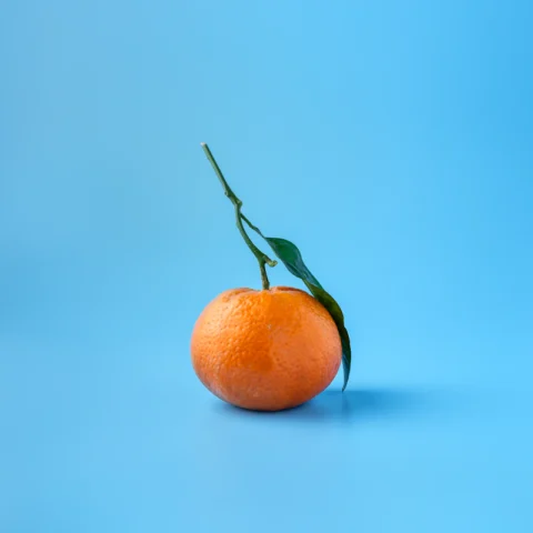 Navel Orange Bag 4 lb