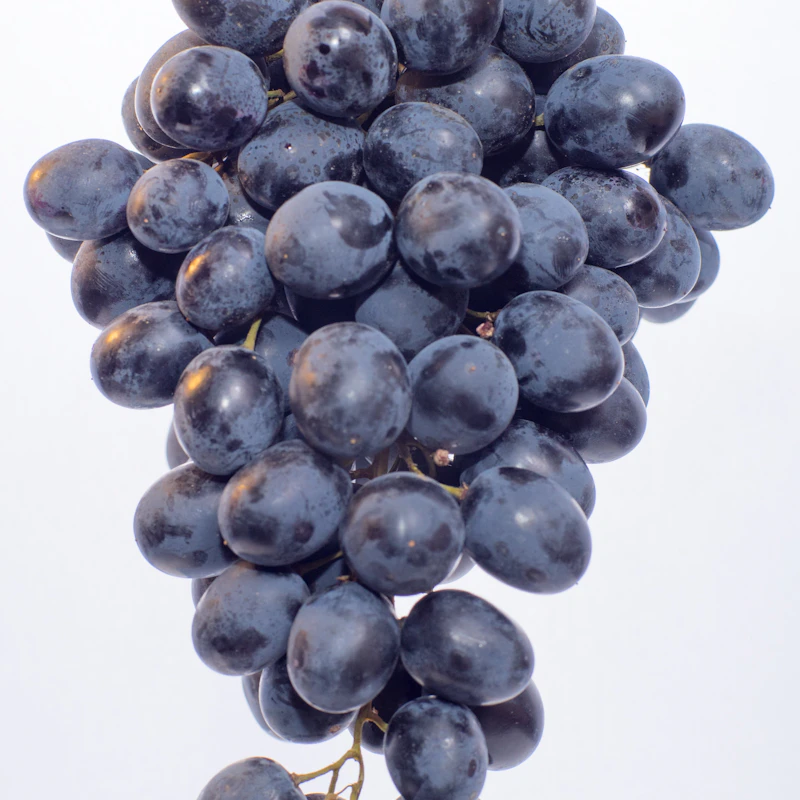 Red Seedless Grapes 2 lb — Front view