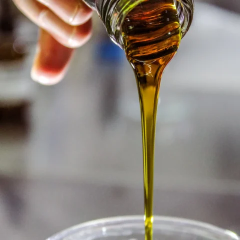 Single-Estate Olive Oil — Robust Blend