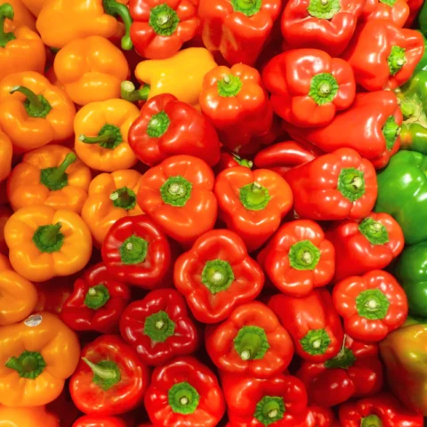Sweet Bell Pepper Trio
