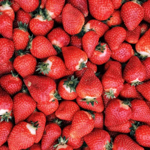 Sweet Strawberries Family Pack 2 lb